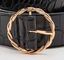 Аксессуары металла колцеобразного уплотнения пряжки цепного Pin круга двойные для одежд сумок ботинок пояса дам